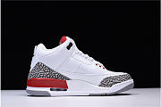 Air Jordan 3 Retro Hall of Fame 136064-116 - 6