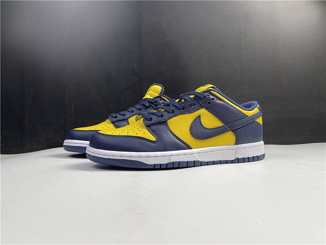 Nike Dunk Low Michigan DD1391-700 - 1