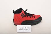 Air Jordan 12 Reverse Flu Game CT8013-602  - 2