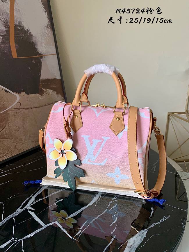 Louis Vuitton speedy M45724 25 x 19 x 15 CM - 1