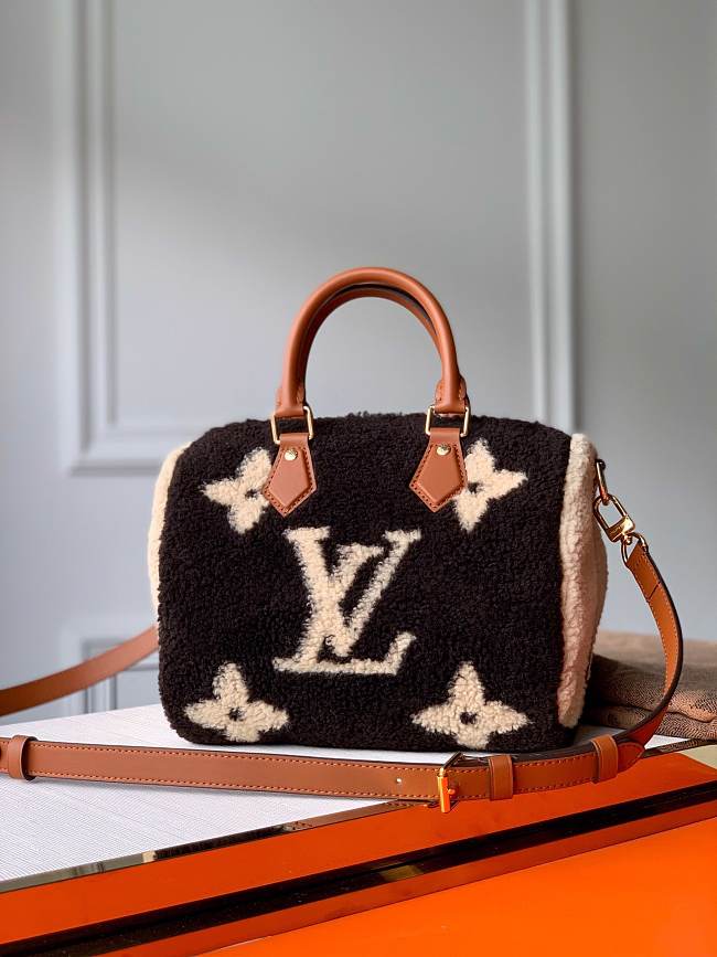 Louis Vuitton Speedy M55422 25x19x15 CM - 1