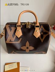 Louis Vuitton Speedy M44341 - 6