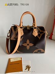 Louis Vuitton Speedy M44341 - 1