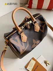 Louis Vuitton Speedy M44341 - 5