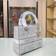 Dior CD Lady 21 Tiger Embroidery 9027 Size 24×20×11cm - 5