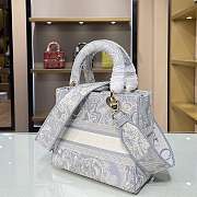 Dior CD Lady 21 Tiger Embroidery 9027 Size 24×20×11cm - 4