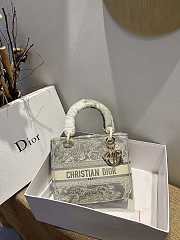 Dior Lady D-Lite Reverse 13 Size 24 x 20 x 11 cm  - 1