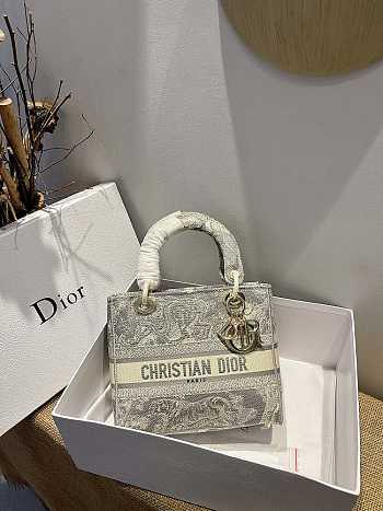 Dior Lady D-Lite Reverse 13 Size 24 x 20 x 11 cm 