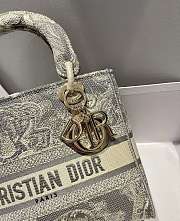 Dior Lady D-Lite Reverse 13 Size 24 x 20 x 11 cm  - 2