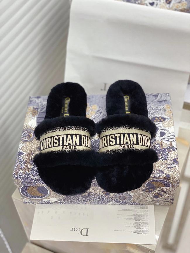 Dior Dway Slides Fur Black - 1