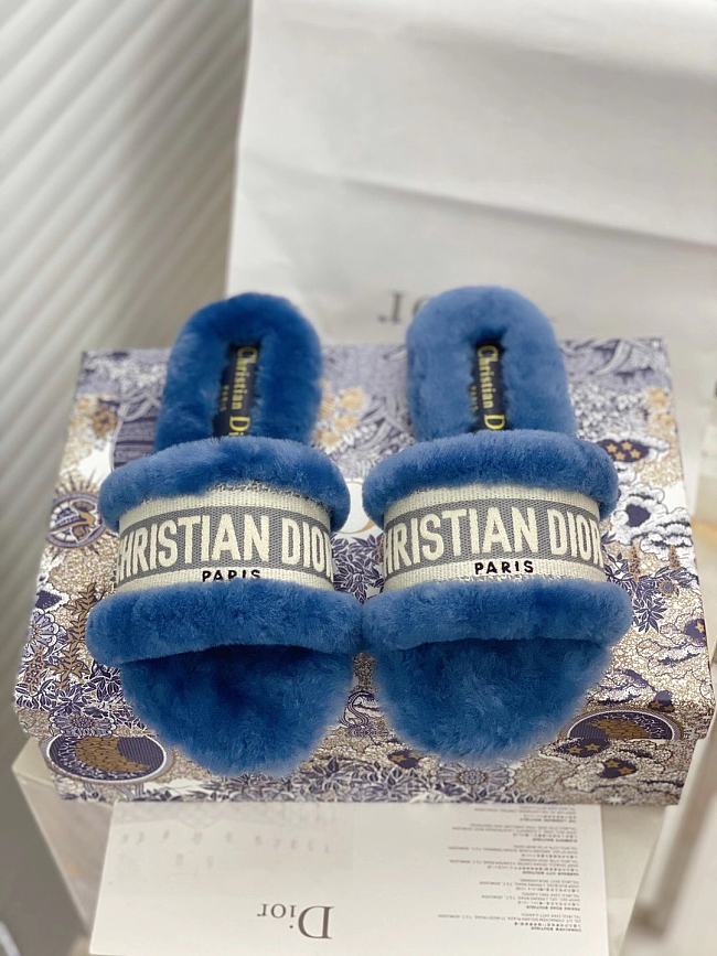 Dior Dway Slides Fur Blue - 1