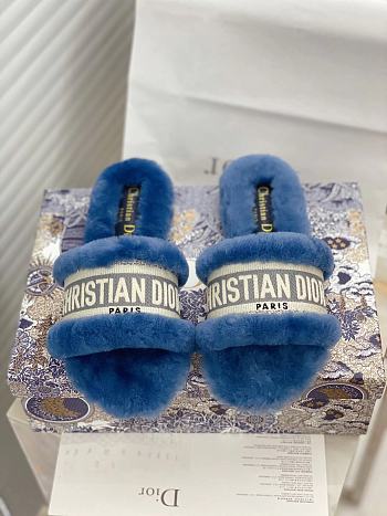 Dior Dway Slides Fur Blue