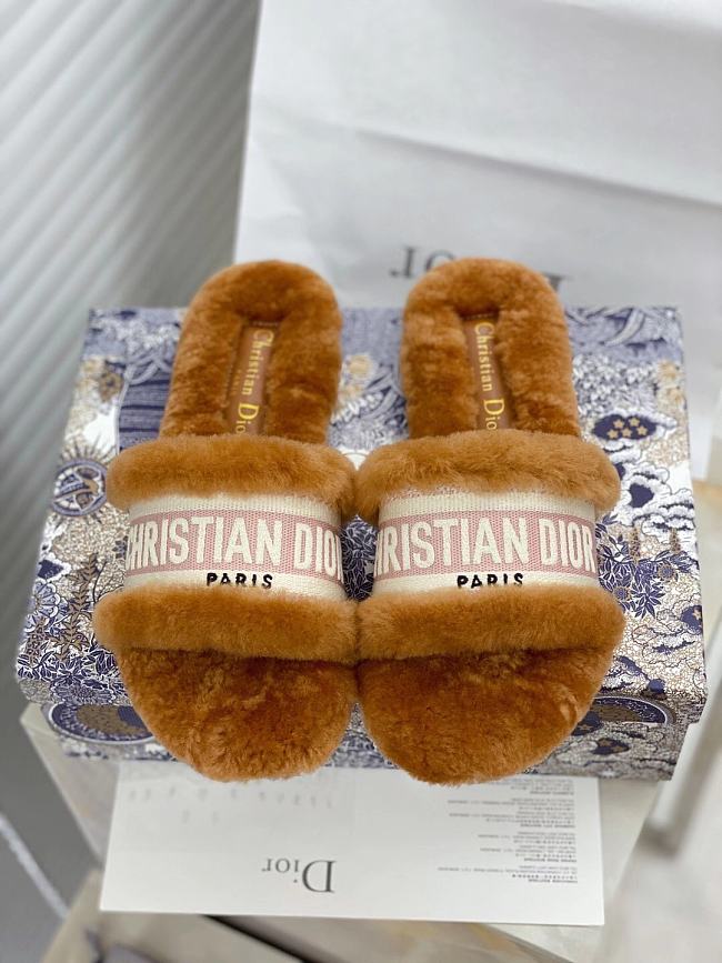 Dior Dway Slides Fur Brown - 1