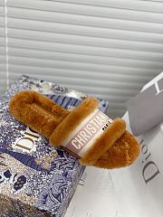 Dior Dway Slides Fur Brown - 6