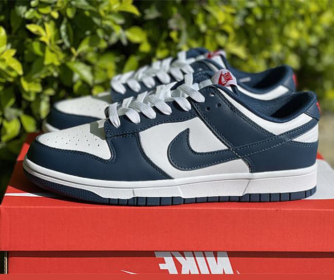 Nike Dunk Low Valerian Blue DD1391-400 - 1