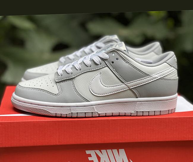 Nike Dunk Low Two Tone Grey DJ6188-001 - 1