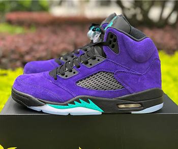 Air Jordan 5 Alternate Grape 136027-500