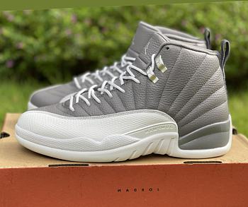 Air Jordan 12 Stealth CT8025-610