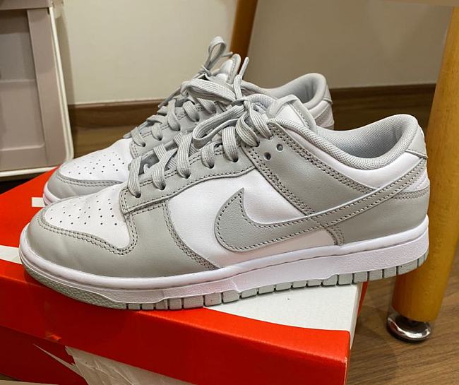 Nike Dunk Low Grey Fog DD1391-103 - 1