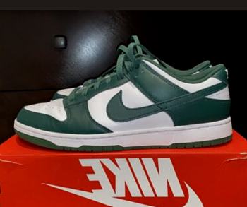 Nike Dunk Low Michigan State DD1391-101