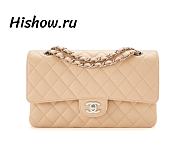 Chanel Beige Quilted Caviar Flap Silver 25CM - 1